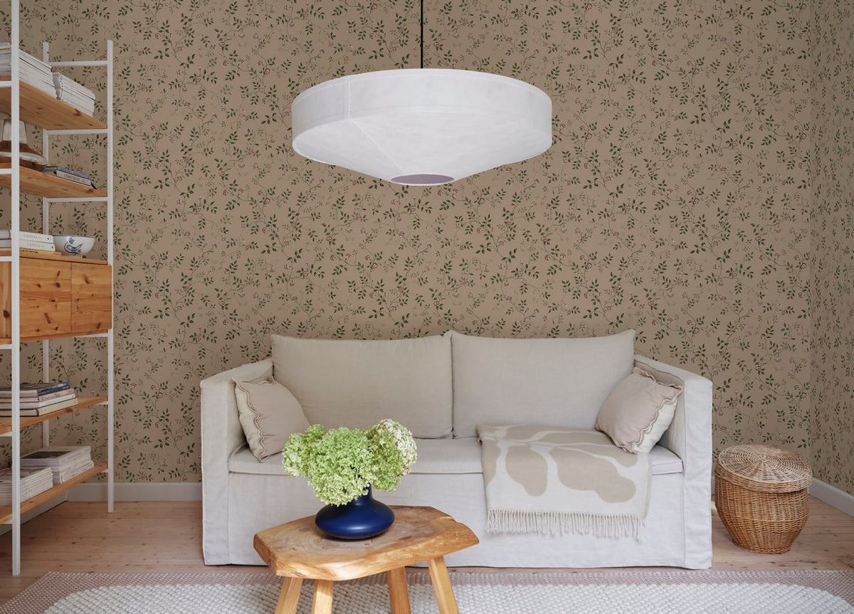 The Ginseng Atelier | Beige Luxe