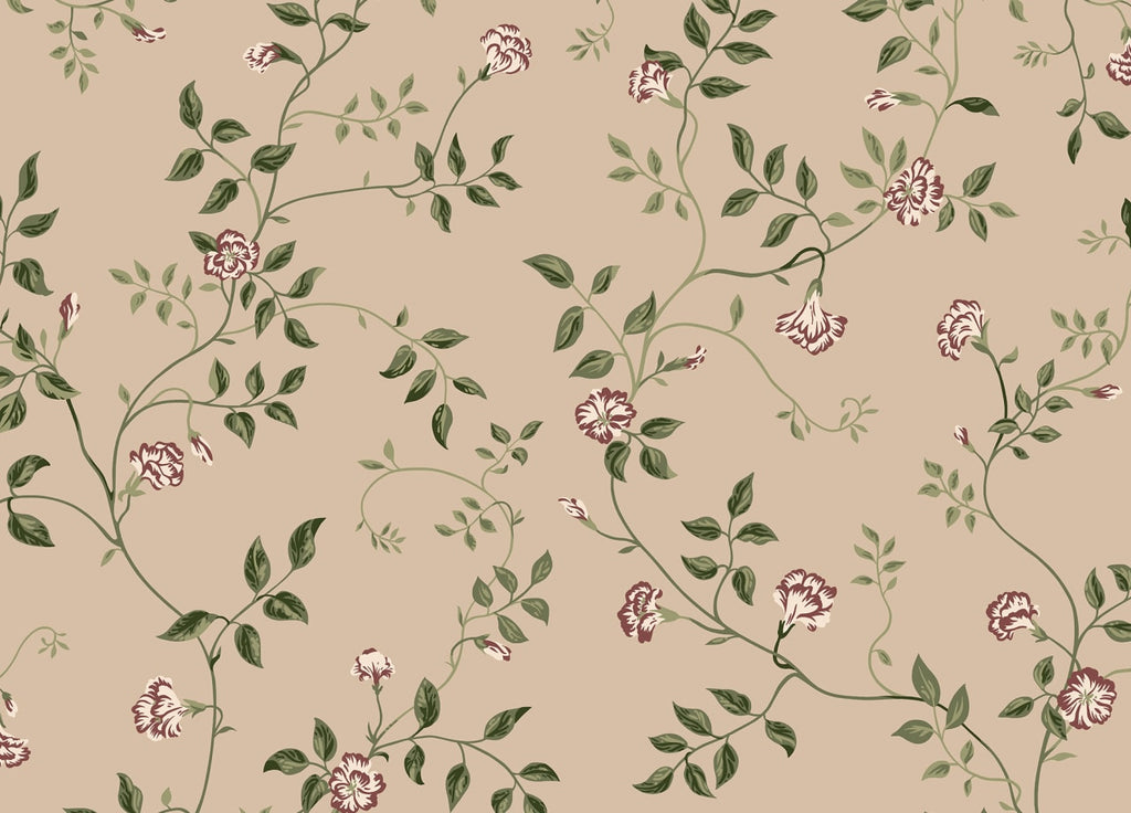 The Ginseng Atelier | Beige Luxe