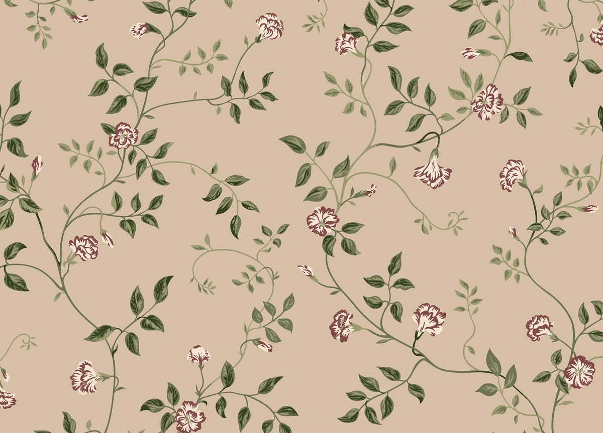The Ginseng Atelier | Beige Luxe