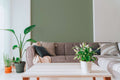 The Blush Studio | Sage Luxe