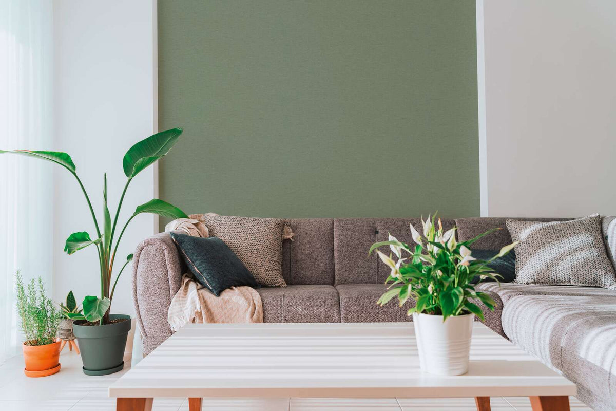 The Blush Studio | Sage Luxe