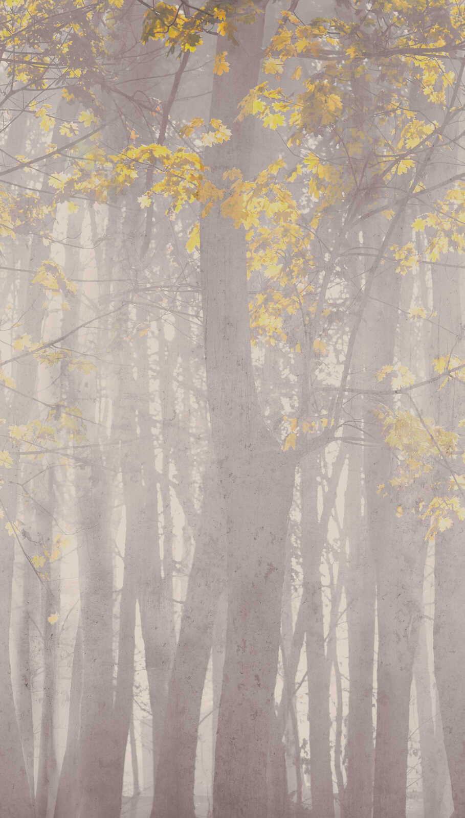 The Autumn Forest | Misty Grey & Sun-Kissed Gold Luxe