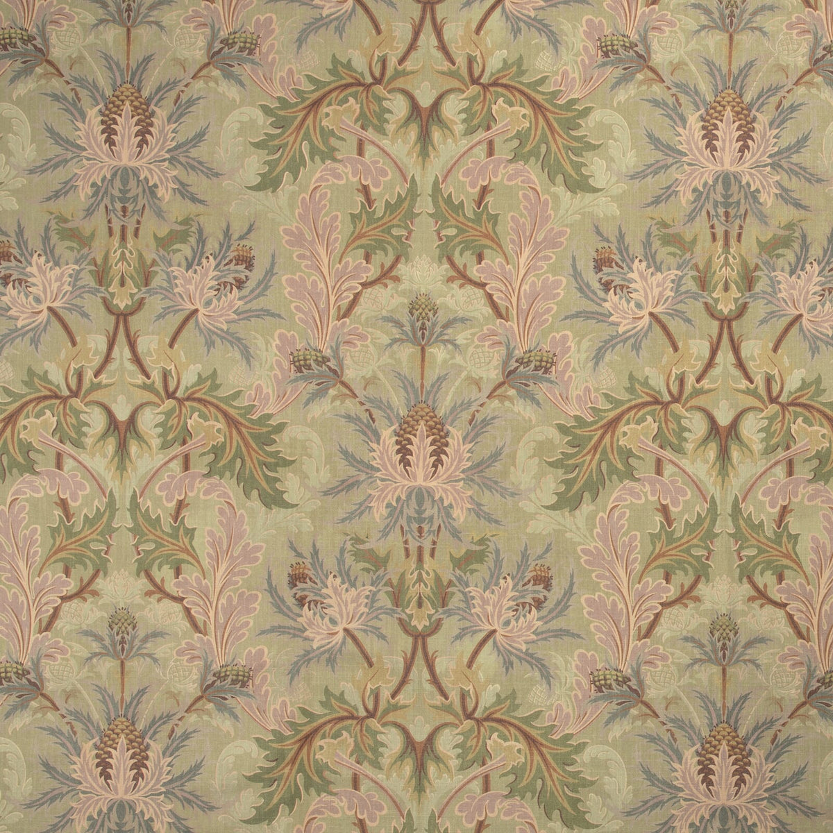 Aquifolia | Apple — 1