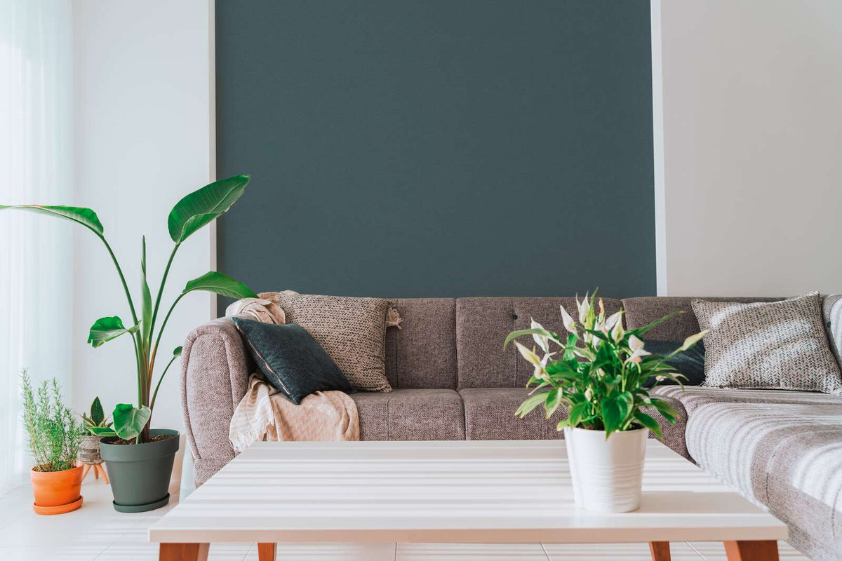 The Blush Studio | Azure Luxe