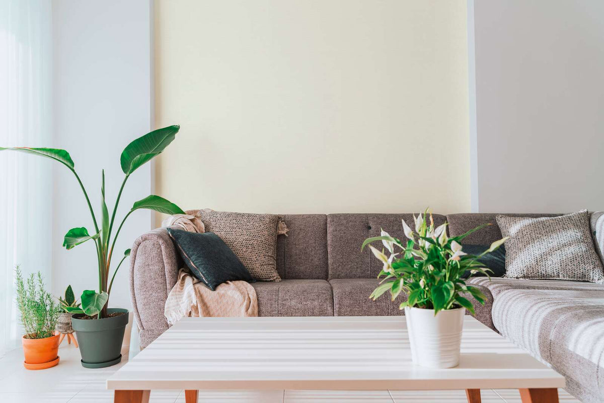 The Canvas Solarium | Luminous White Luxe