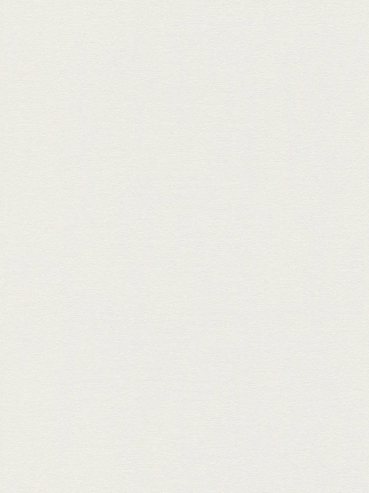 The Blush Archive | Cream & Sun-Kissed Gold Luxe