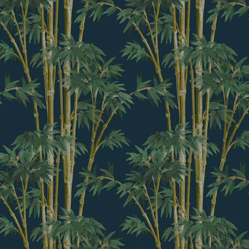 Bambusa | Midnight — 1