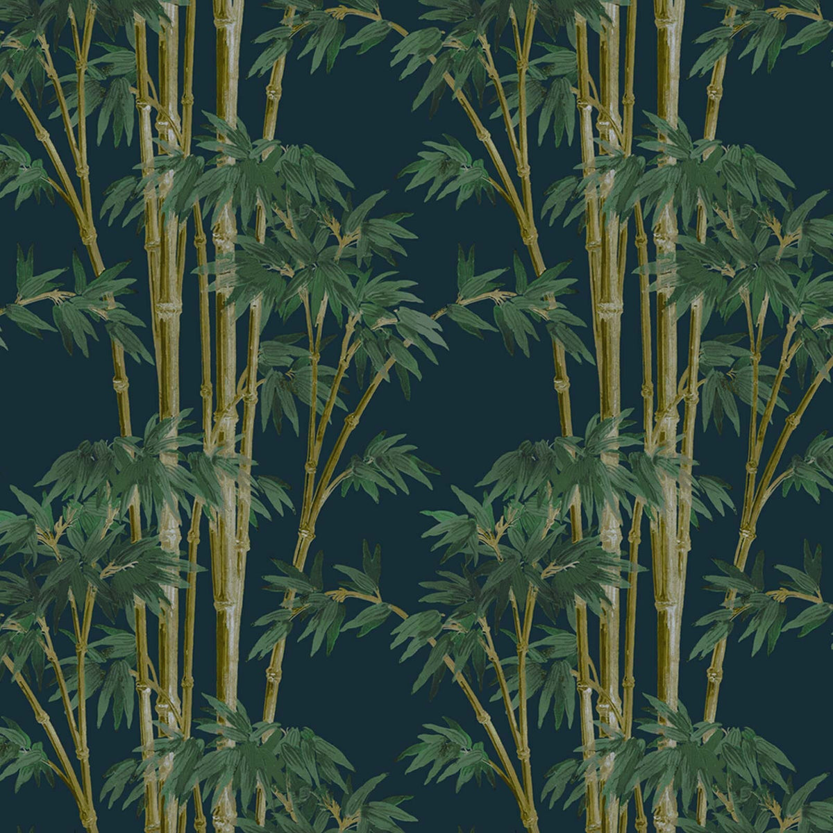 Bambusa | Midnight — 1