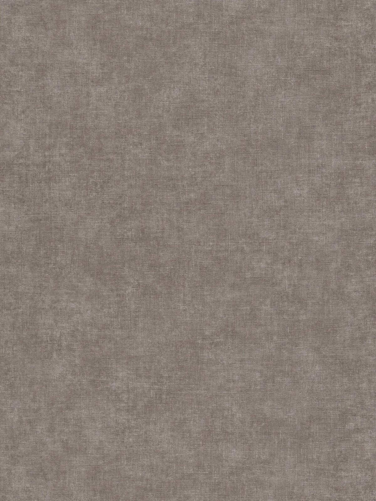 The Ash Conservatory | Grey Smoked Grey Luxe