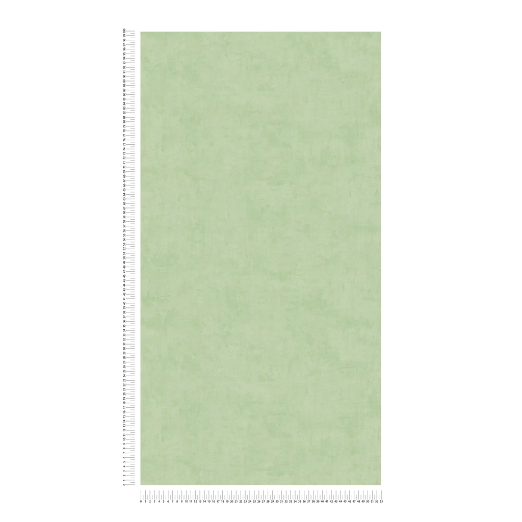The Paper Lantern | Green Sage Luxe