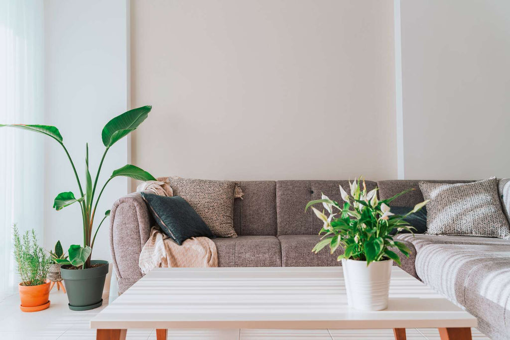 The Bramble Cloister | Smoked Grey Luxe
