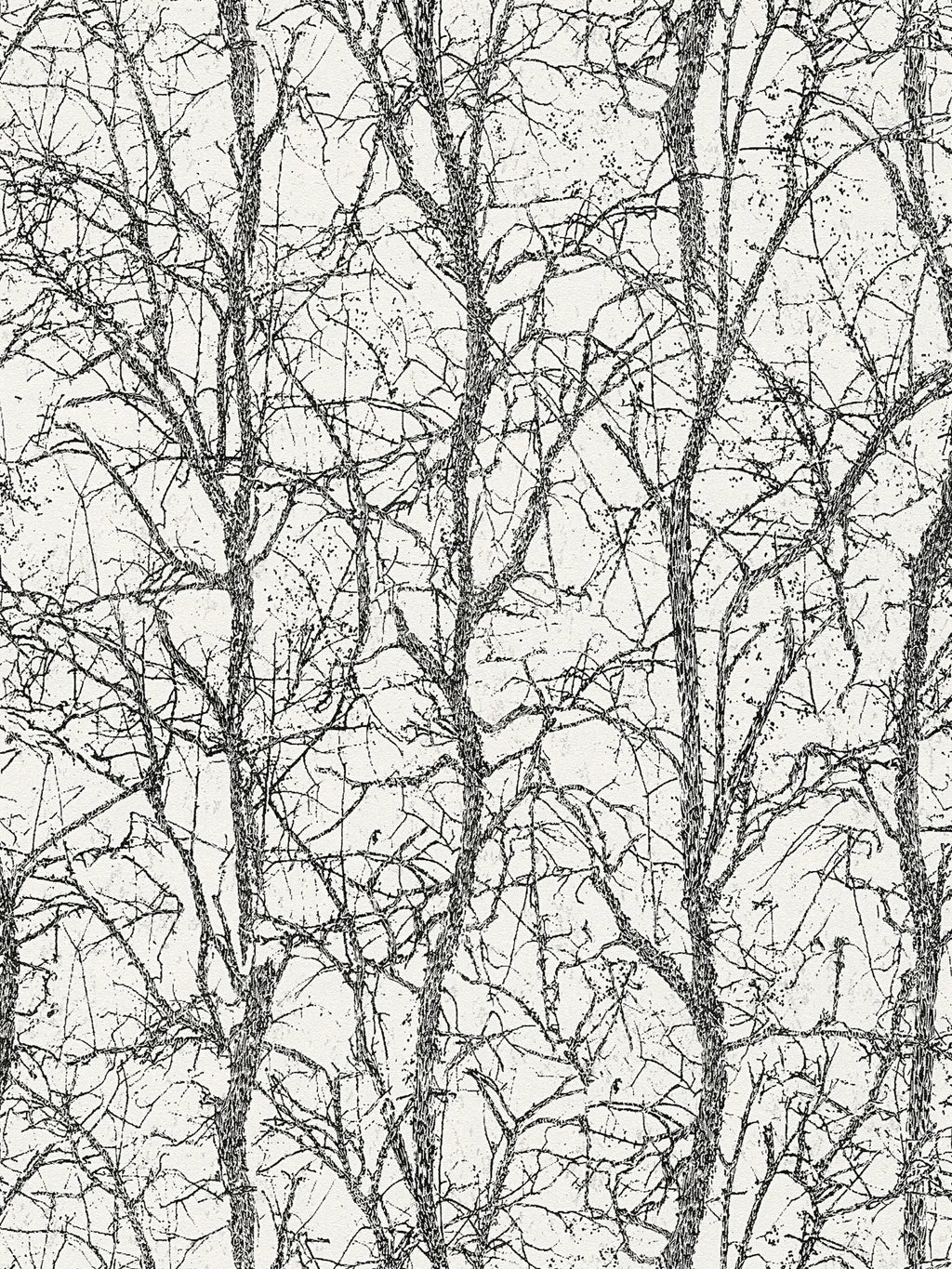 The Ginger Atrium | Deep Black & Luminous White Luxe