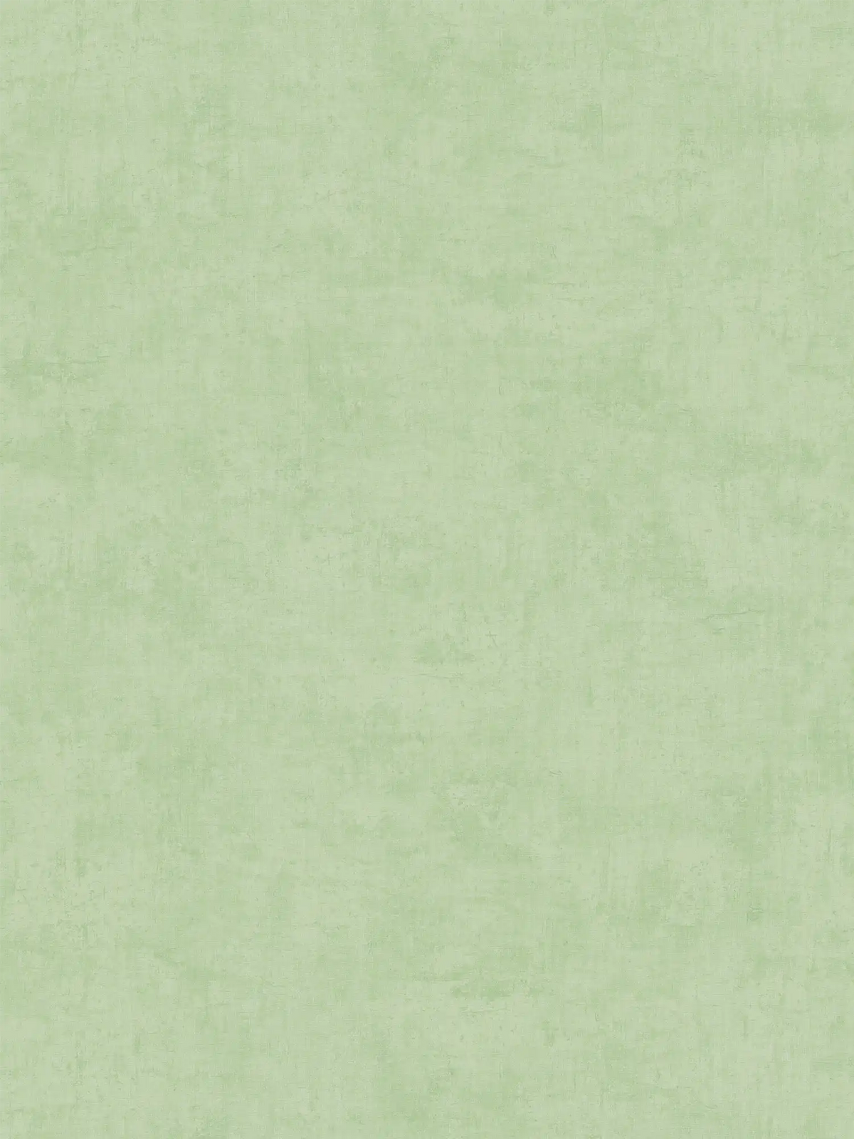 The Paper Lantern | Green Sage Luxe