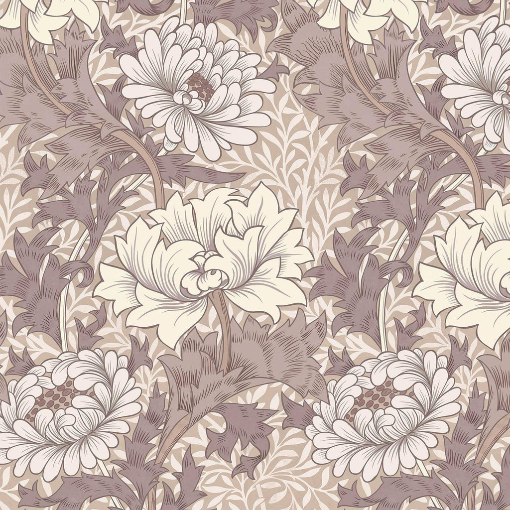 CHRYSANTHEMUM MAGNA Wallpaper - Astrantia — image 1