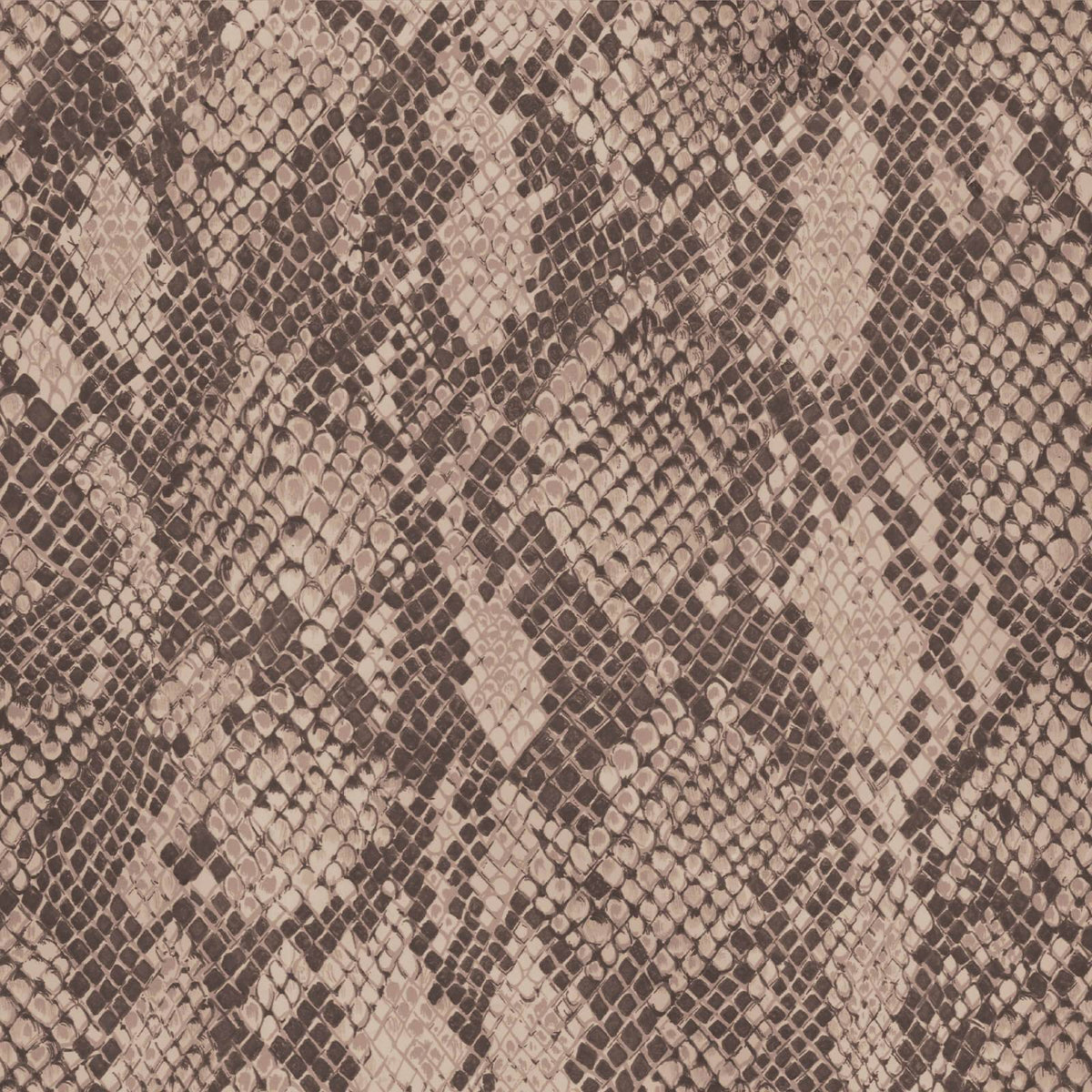 COBRA Wallpaper - Earth — image 1