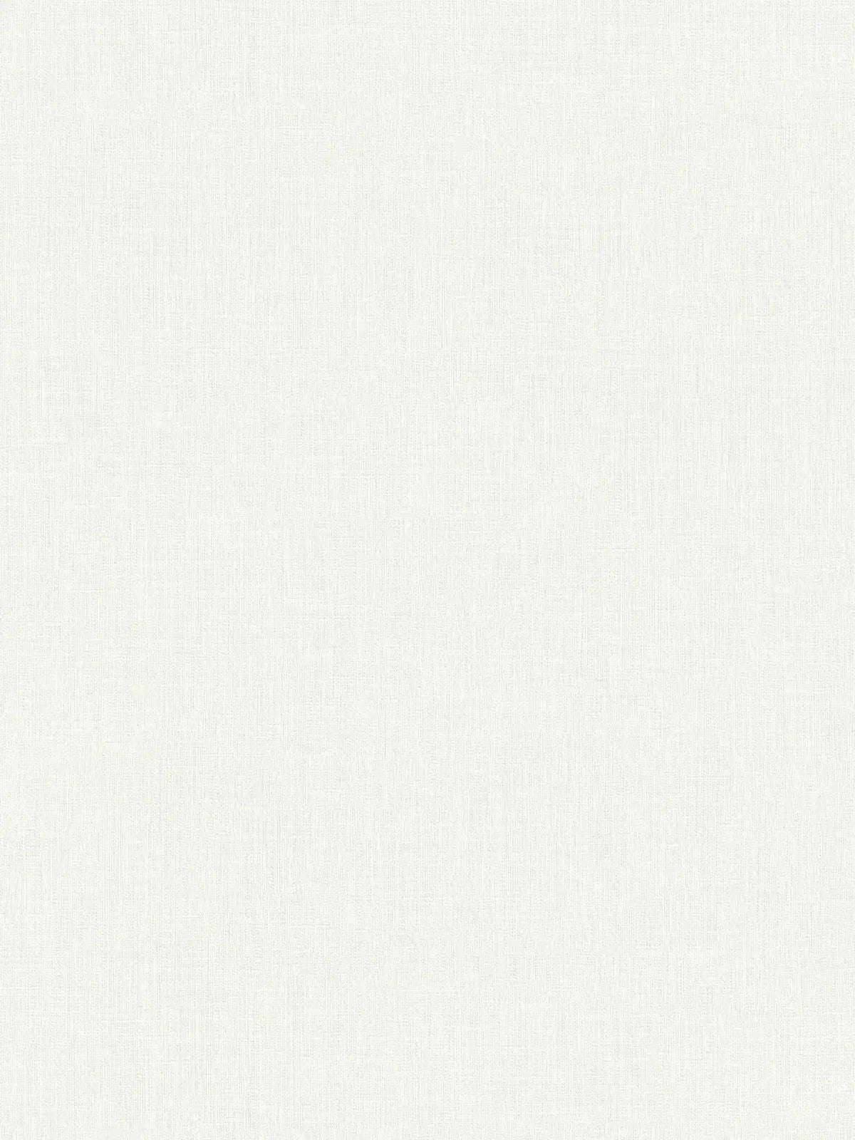 The Soft Plaster | Luminous White Luxe