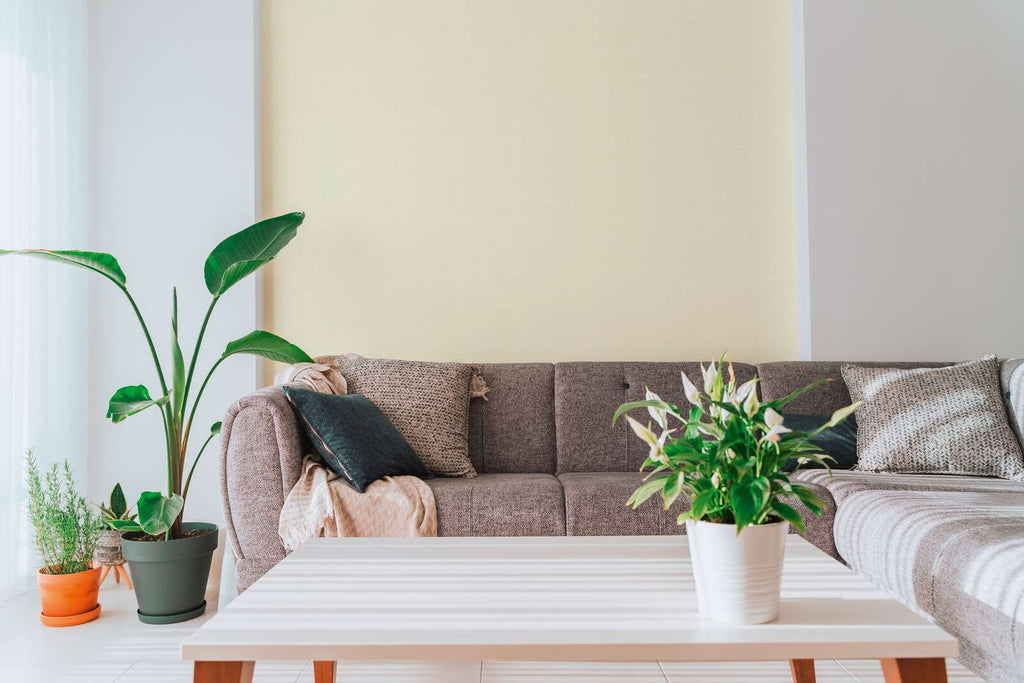 The Bronze Archive | Warm Beige Luxe