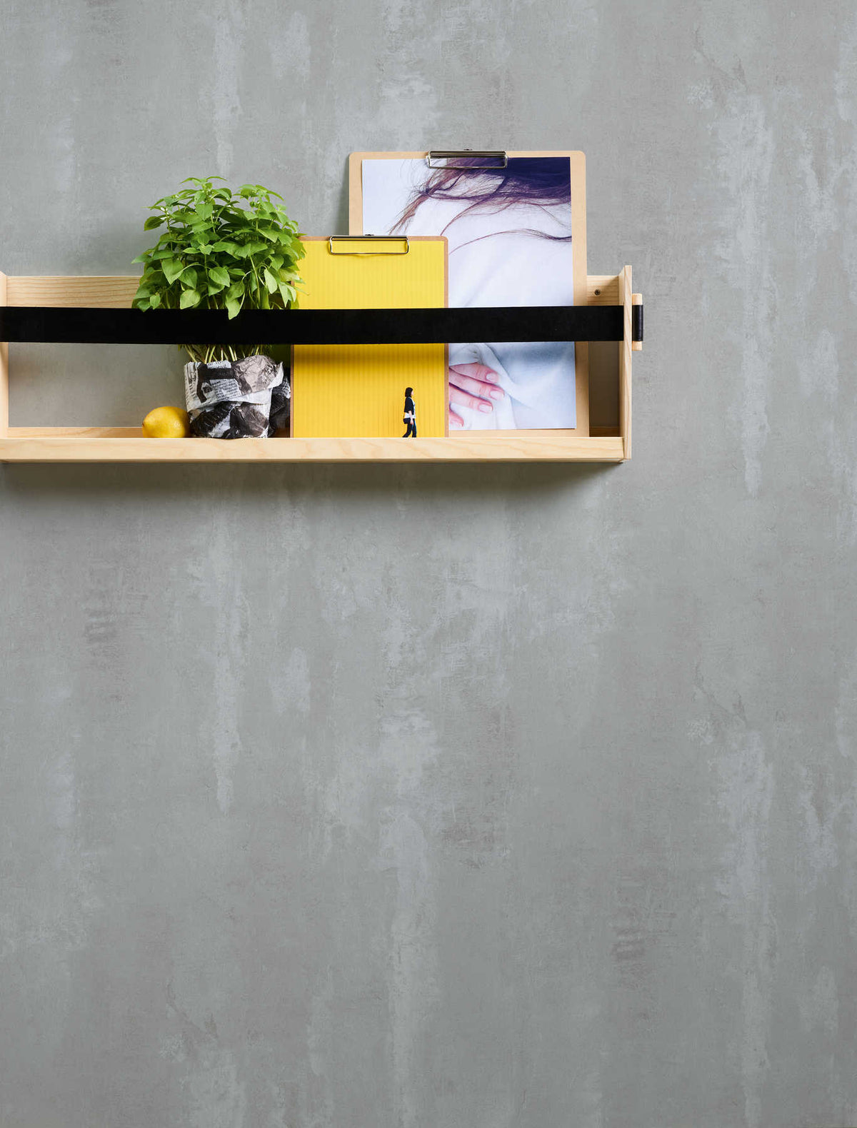 The Cove Solarium | Smoked Grey Luxe