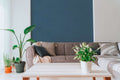 The Mahogany Dorter | Azure Luxe