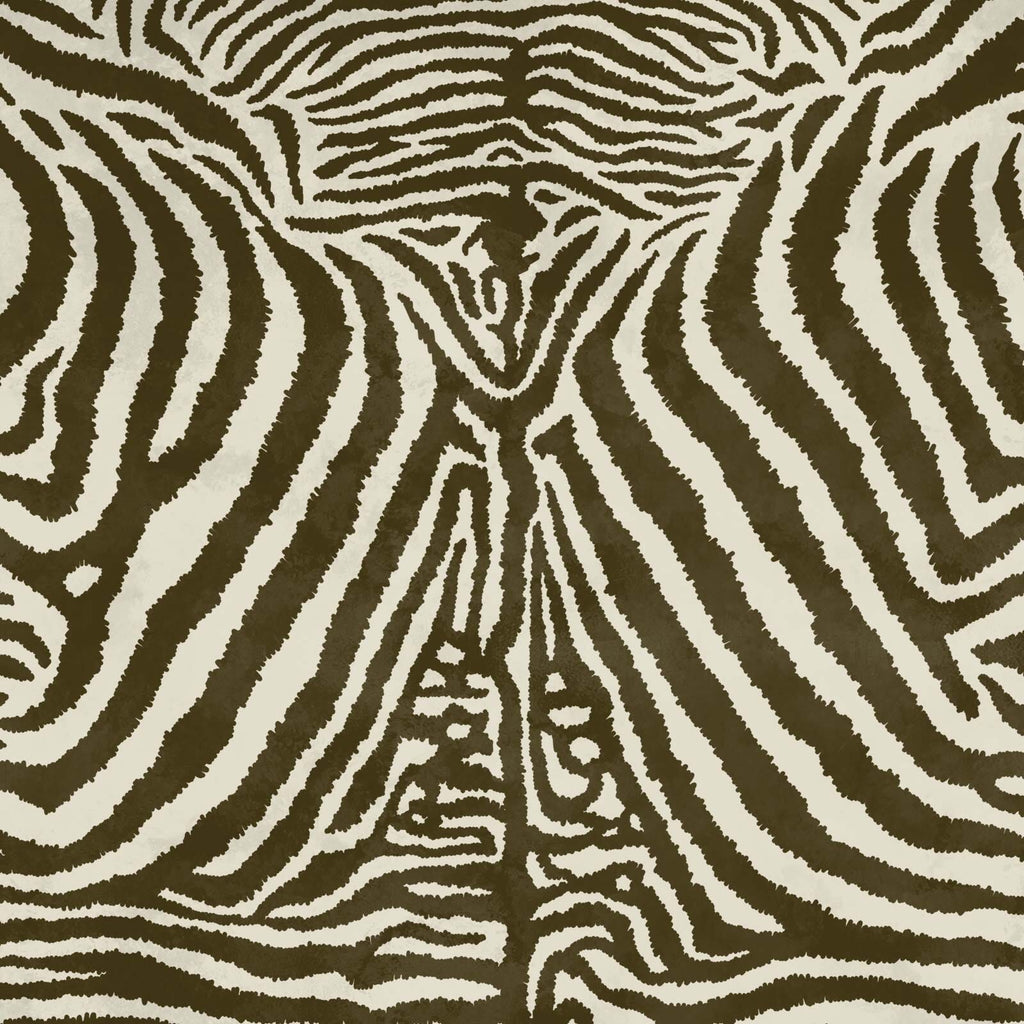 Equus | Cocoa — 1