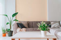 The Meadow Casement | Warm Beige Luxe