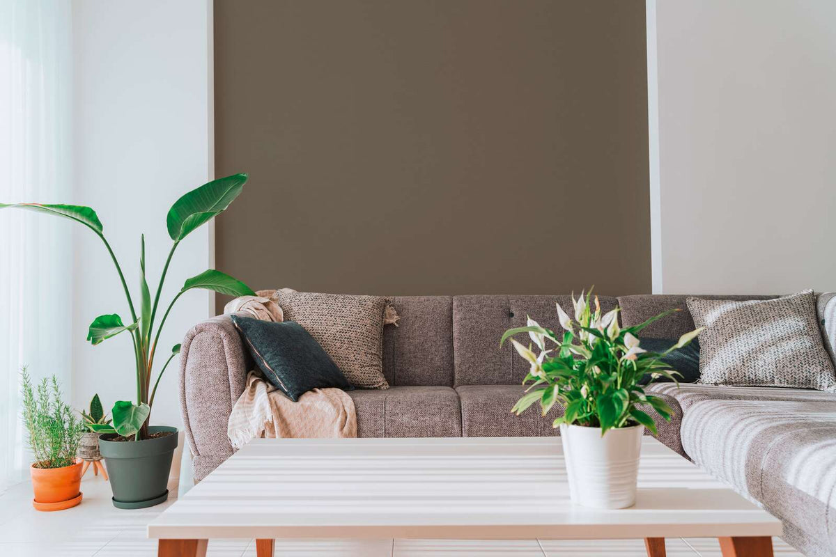 The Paper Cloister | Earthy Brown & Taupe Luxe
