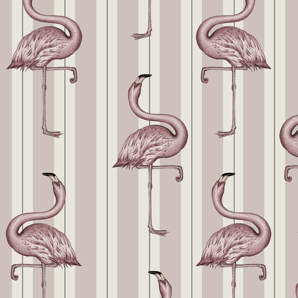 Flamboyance | Off White & Macaroon Pink — 1