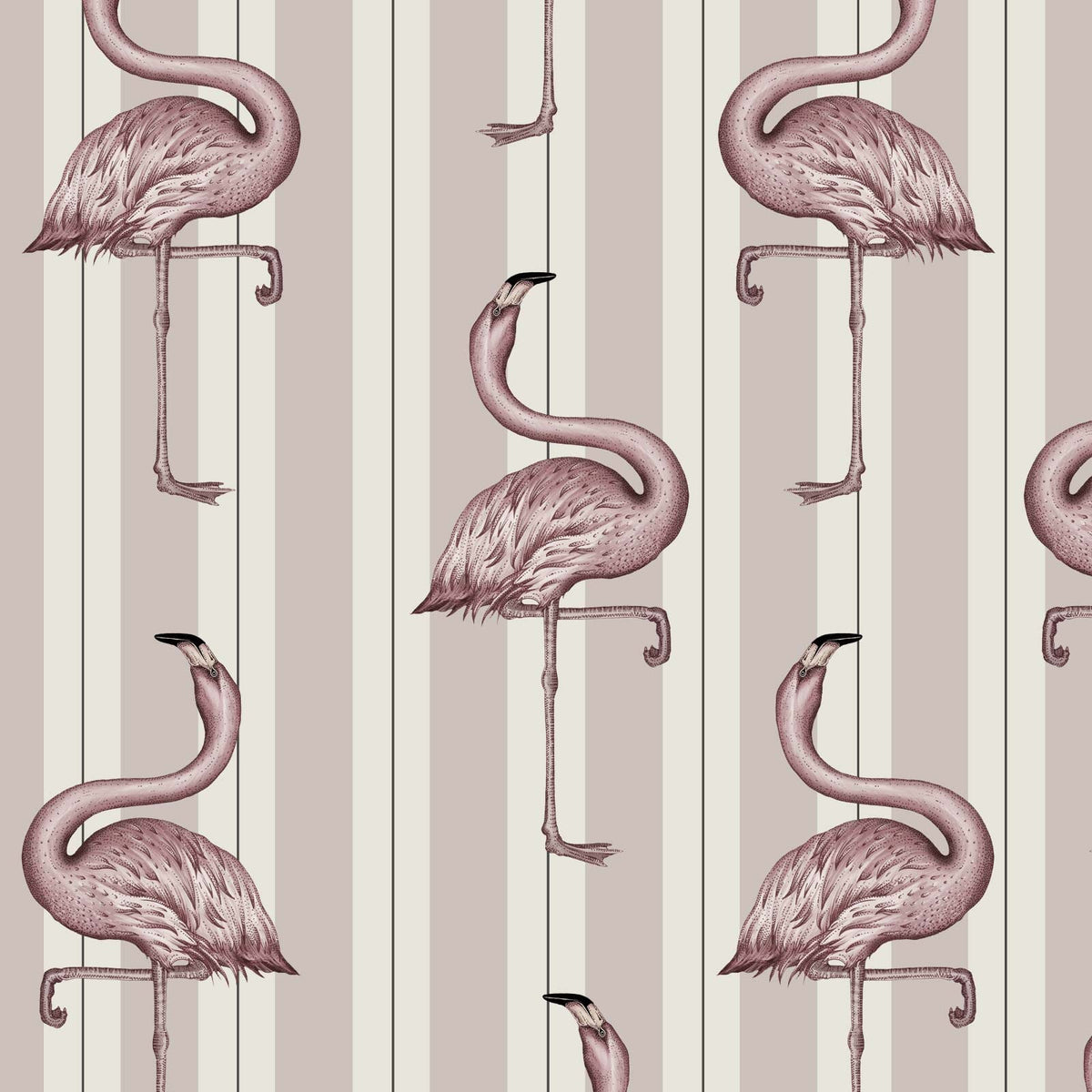 Flamboyance | Off White & Macaroon Pink — 1