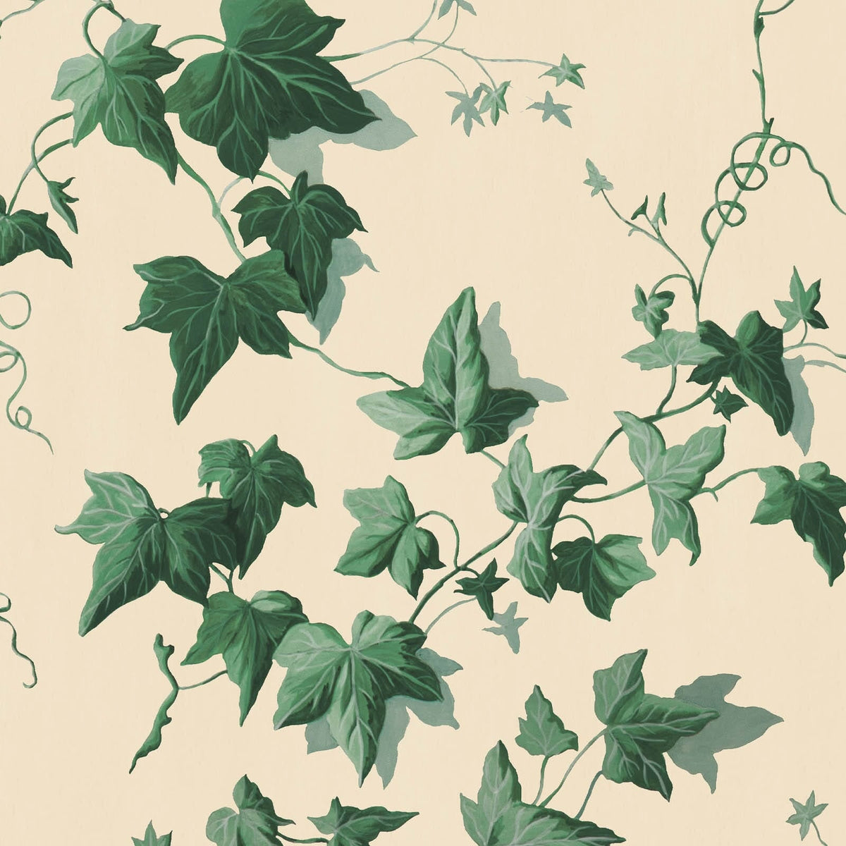 Hedera | Viridian — 1
