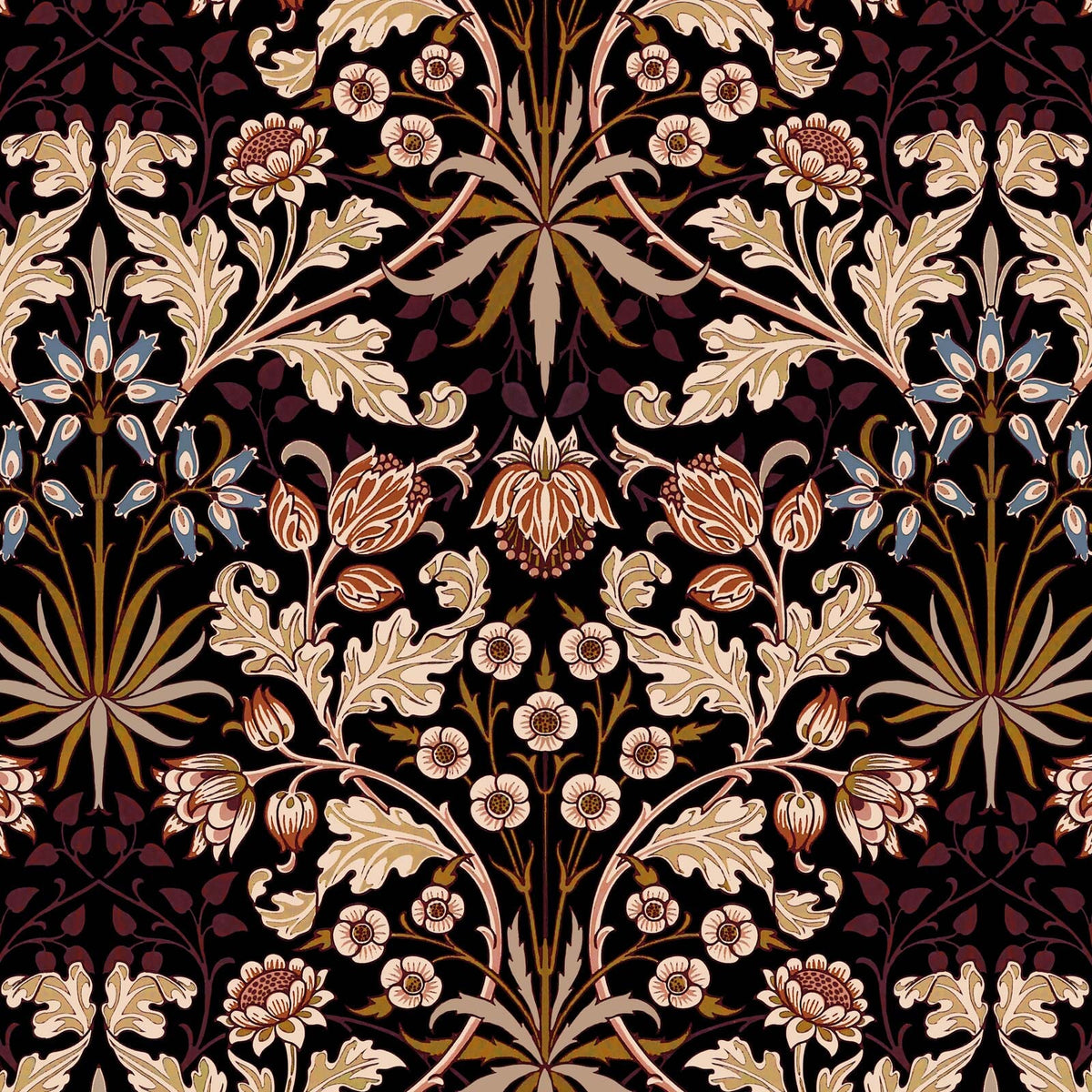 Hyacinth | Black — 1