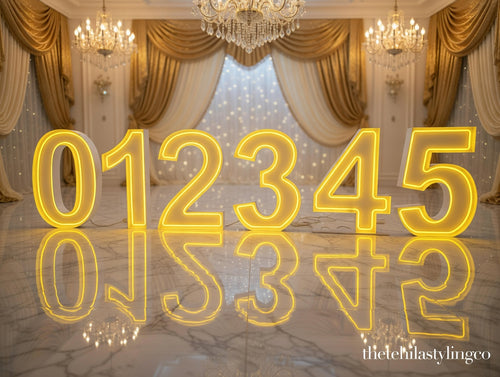 LED Neon Letters & Symbols