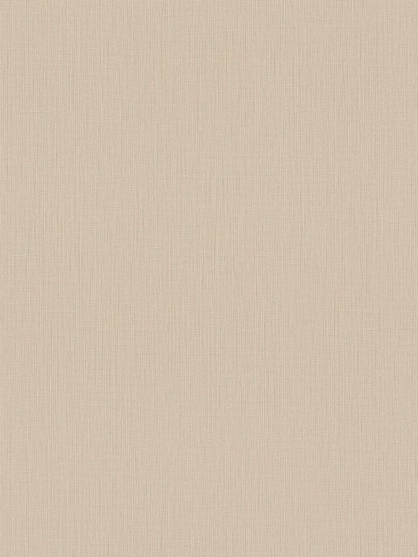 The Linear Horizon | Luminous Beige & Cream Luxe