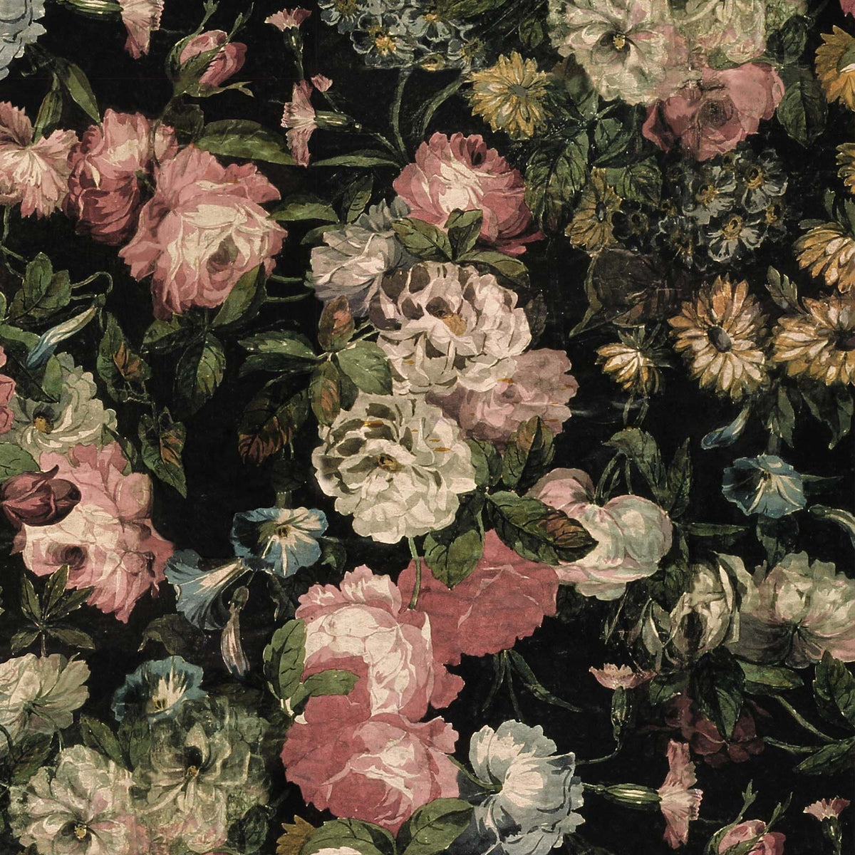 Midnight Garden | Multi — 1