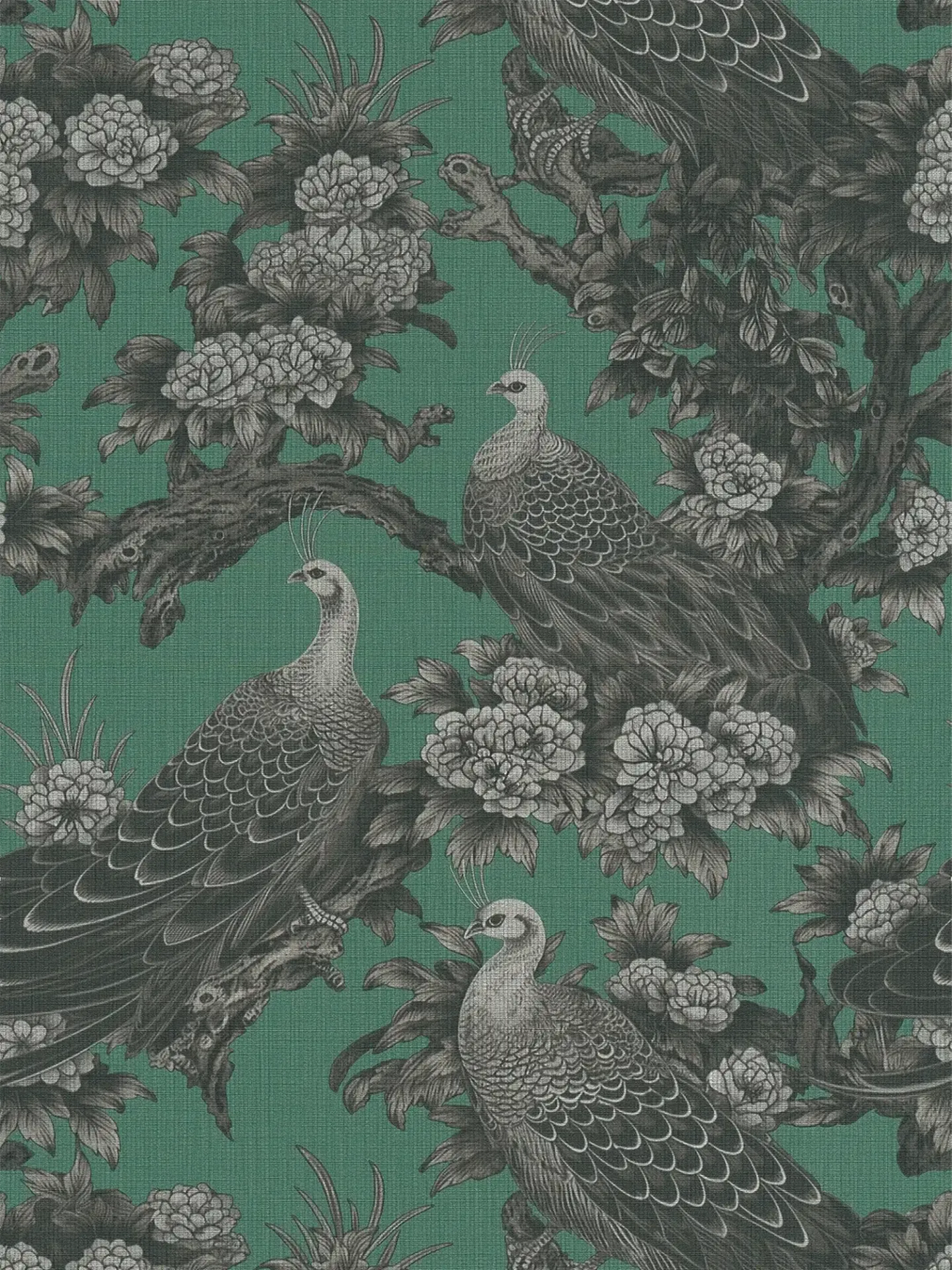 The Peacock Oasis | Enigmatic Green & Soft Grey Luxe