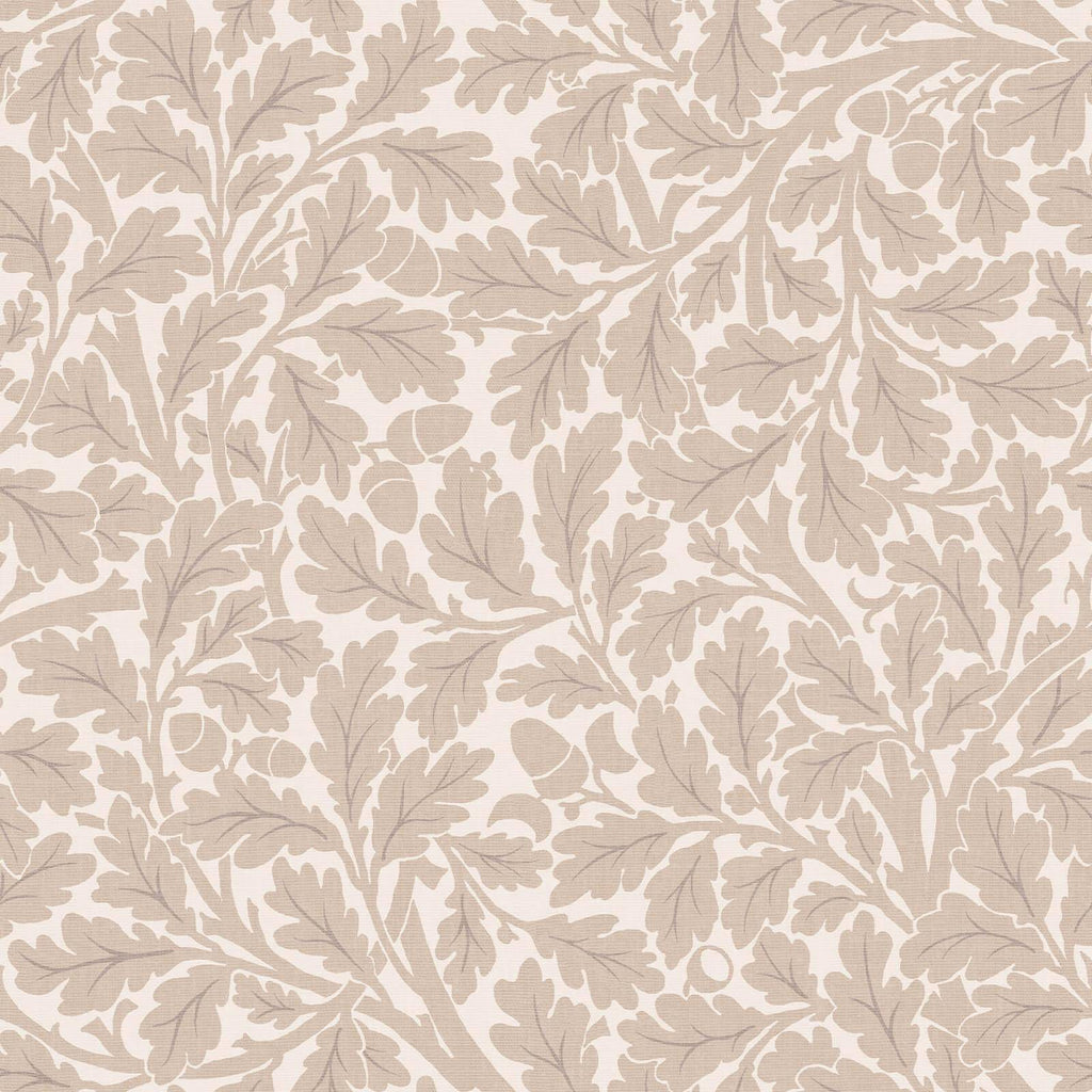 QUERCUS Wallpaper - Astrantia — image 1
