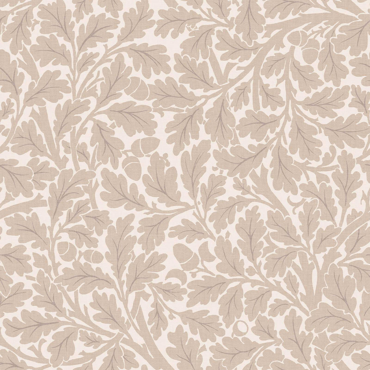 QUERCUS Wallpaper - Astrantia — image 1