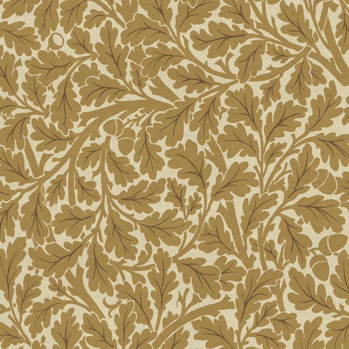 Quercus | Auric — 1