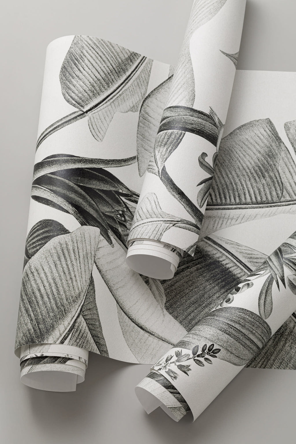 Rolled panel of The Botanic Frieze mural in charcoal and white, another angle