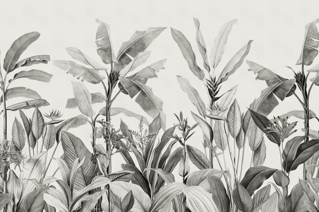 Full artwork view of The Botanic Frieze mural in charcoal and white, showing tropical plants rising from the base