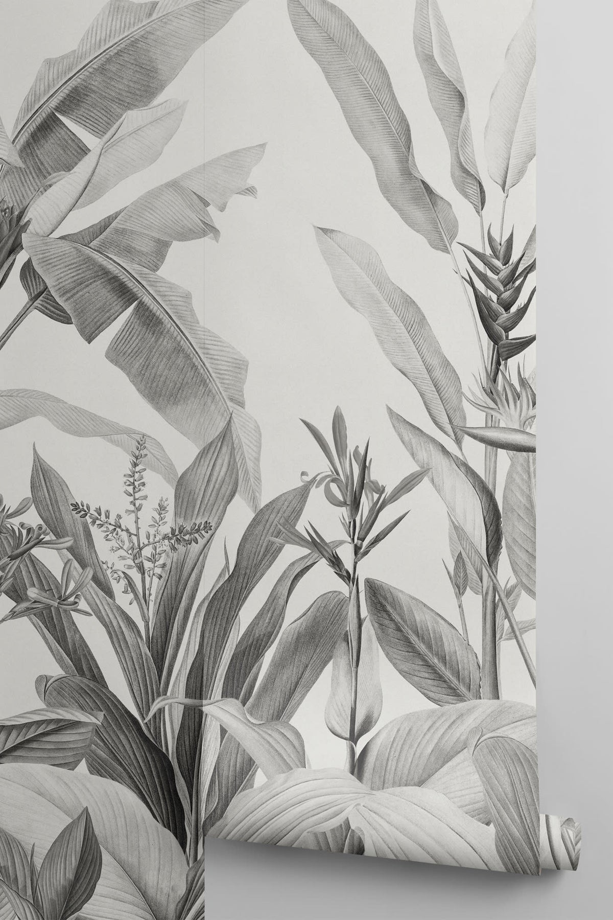 Rolled panel of The Botanic Frieze mural in charcoal and white