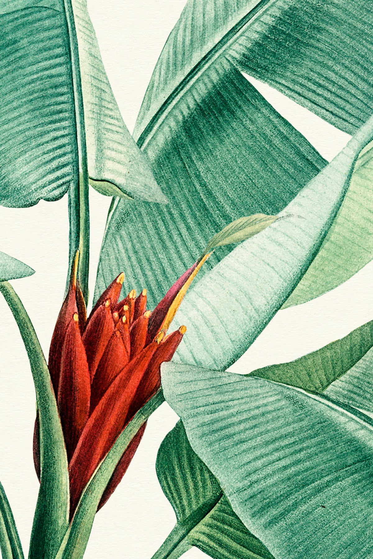 Close-up of The Botanic Frieze mural in tropical green showing the tropical plants rising from the base in detail