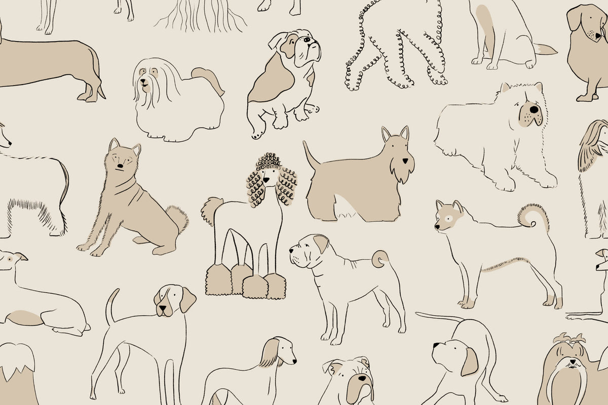 Full artwork view of The Canine Portraits mural in oat and cream, showing sketched bulldogs and sausage dogs