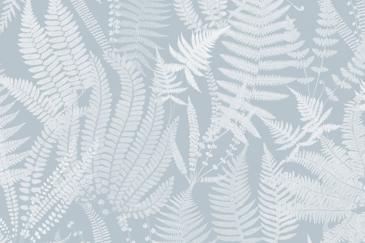 Flat pattern view of The Fernery Study wallpaper in duck egg blue, showing the layered fern fronds