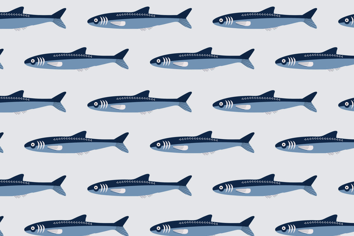 Flat pattern view of The Harbour Catch wallpaper in ocean blue, showing the rows of silvery fish