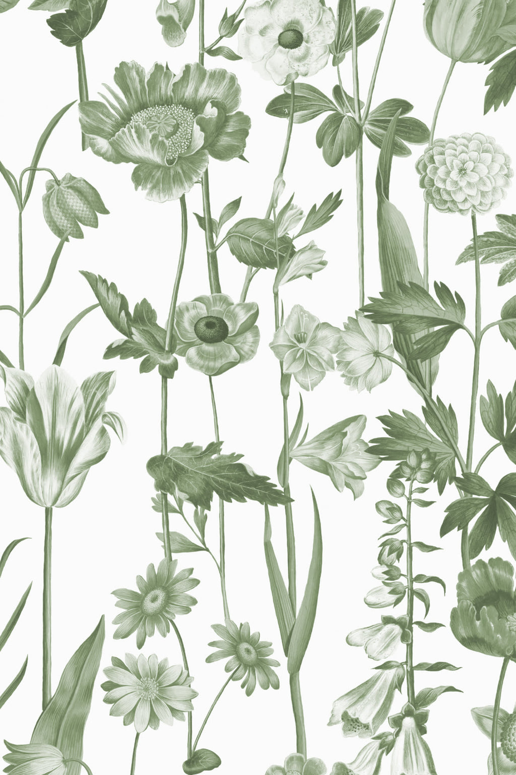 Close-up of The Hedgerow Botanica wallpaper in fern green and white showing the illustrated wildflowers and grasses in detail