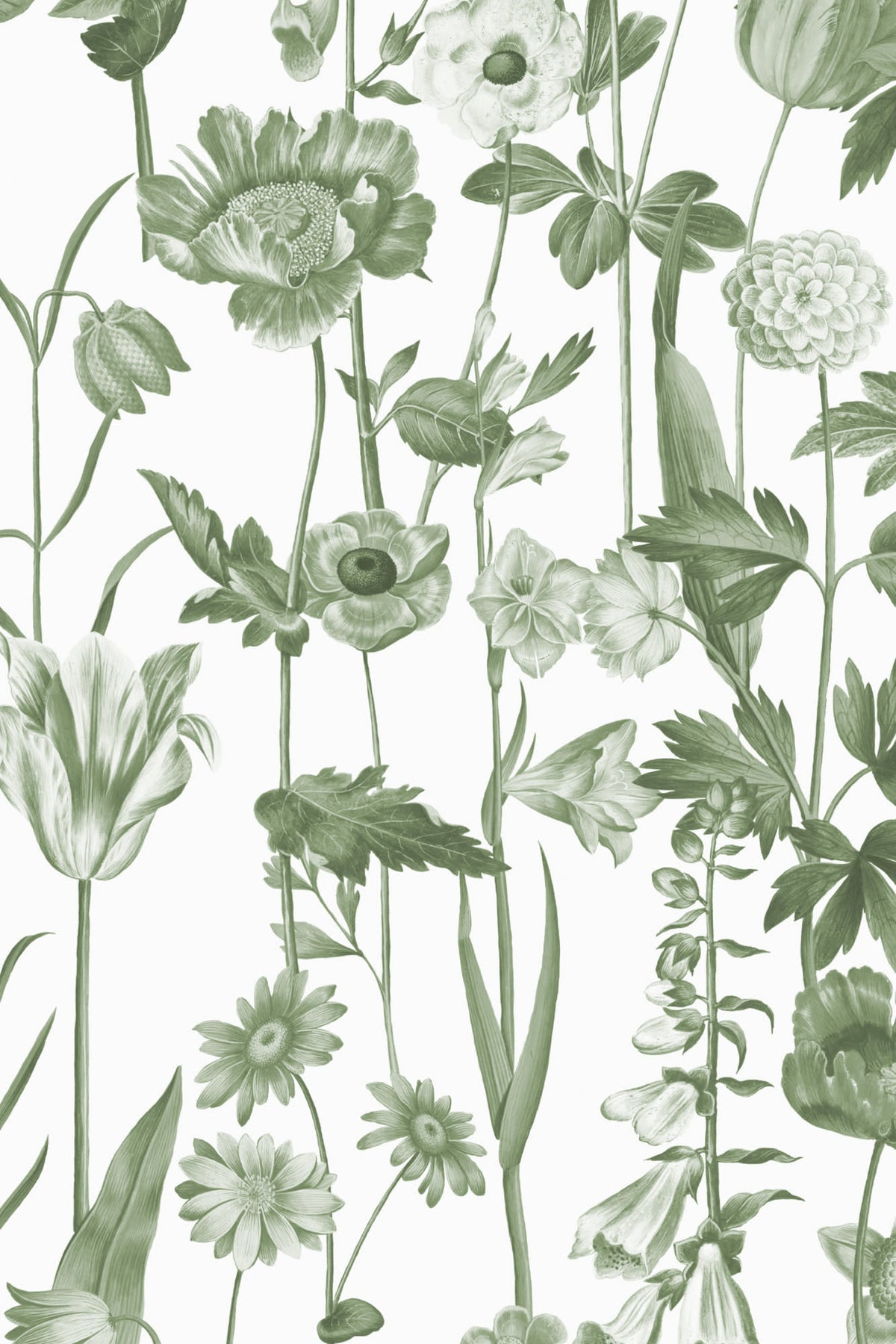 Close-up of The Hedgerow Botanica wallpaper in fern green and white showing the illustrated wildflowers and grasses in detail