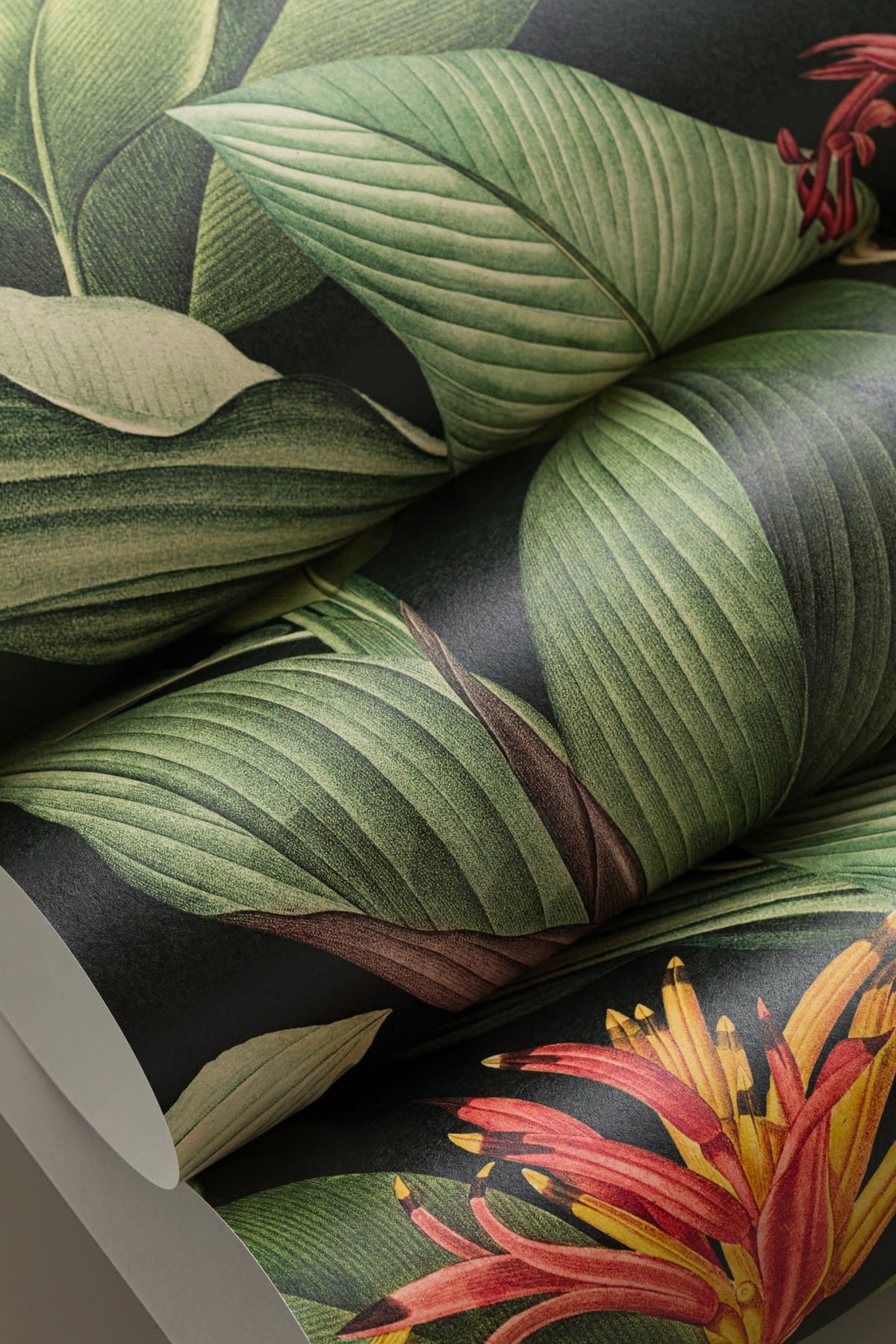 Roll of The Heliconia Hall wallpaper in deep jungle green, view 3
