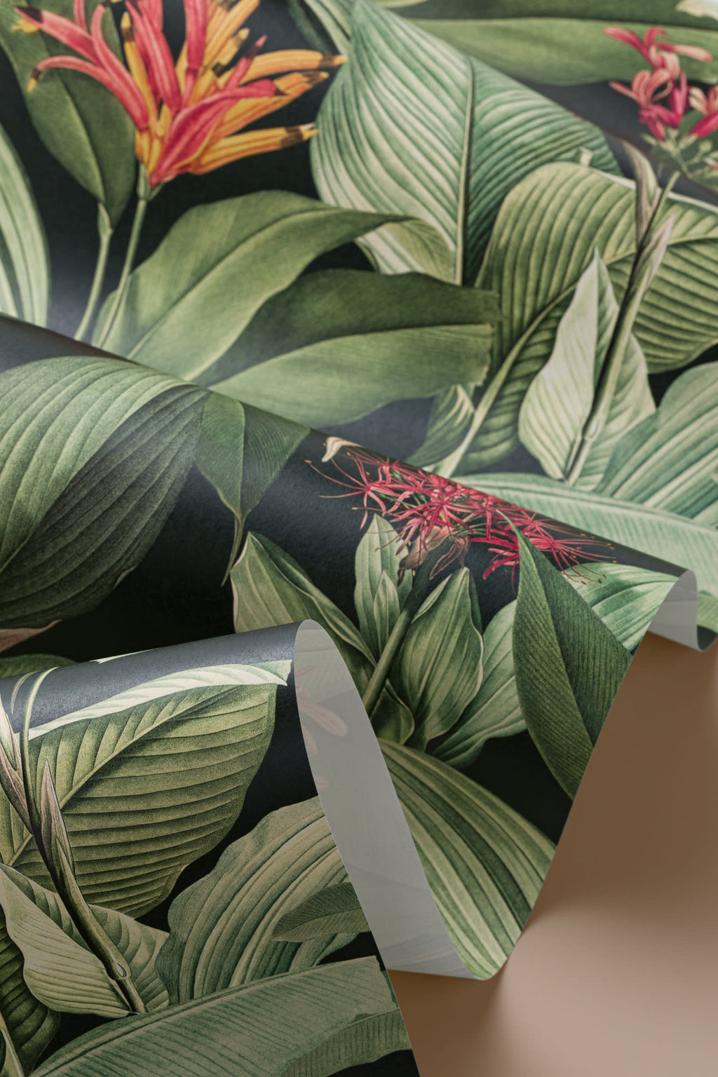 Roll of The Heliconia Hall wallpaper in deep jungle green, view 4