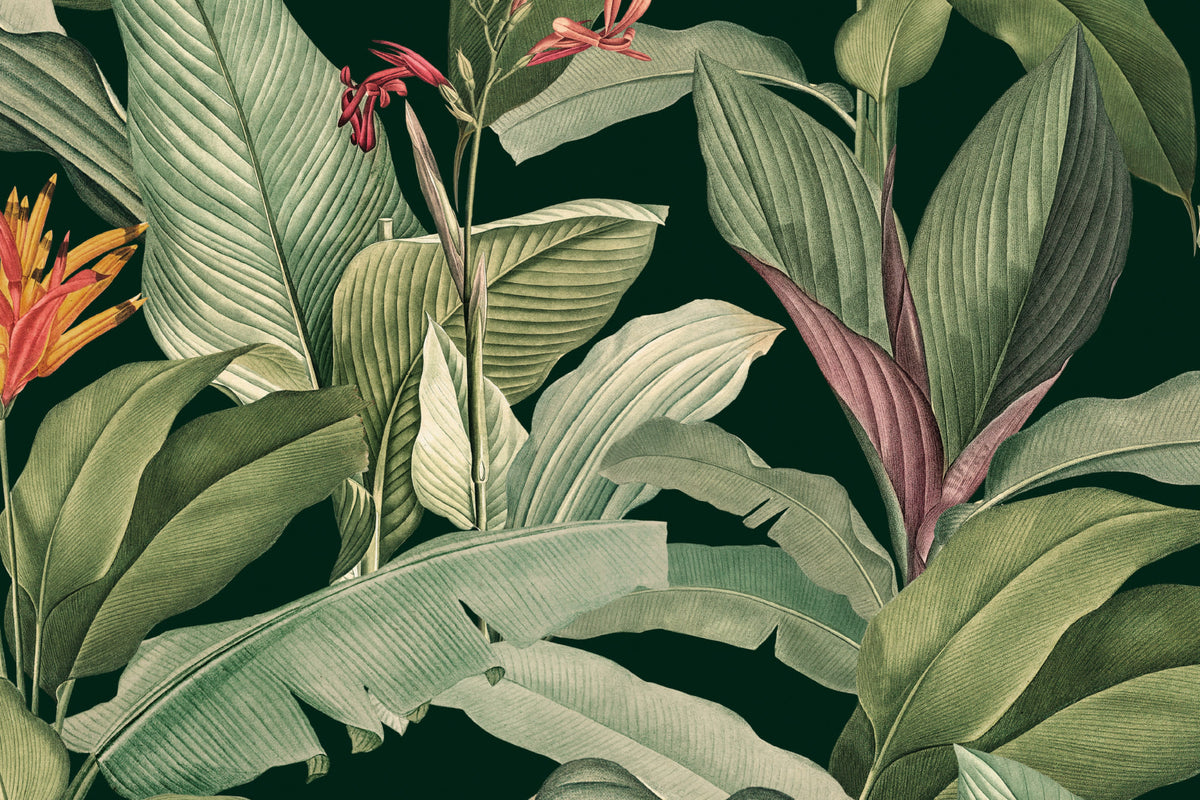Flat pattern view of The Heliconia Hall wallpaper in deep jungle green, showing the banana leaves and heliconia