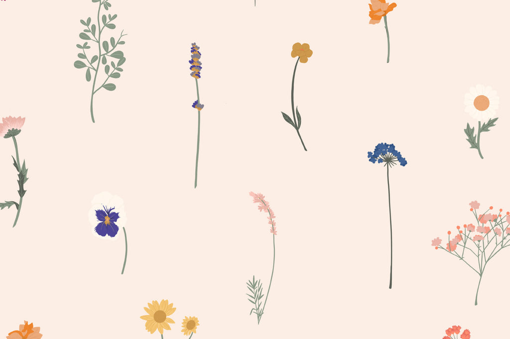 Flat pattern view of The Herbarium Press wallpaper in soft blush, showing the pressed wildflower stems
